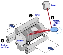 stacks_image_2EF3D9E4-C589-478D-B9B2-4CB4ABD98659