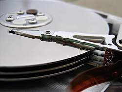 stacks_image_CCE9F471-F934-47A3-B4D4-E64D64022D4D