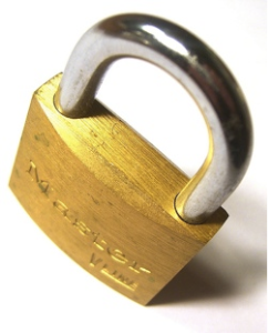 stacks_image_DE697B5D-47CE-42A9-9CC7-8489F3639619