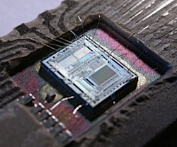 stacks_image_944D0AE4-ECEE-469C-8EFD-91C00A32F07E