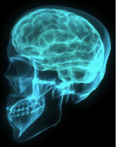 stacks_image_F4BAF2FE-807F-403A-8D01-66031AB304FA